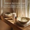 imageHomedics Waterless Essential Oil Diffuser with 15ml Vanilla Cedarwood Fragrance Oil SereneScent Cordless Cold Air Scent Diffuser Starter Kit with Ambient Light Studio 671 TerracottaBeige
