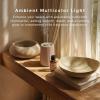 imageHomedics Waterless Essential Oil Diffuser with 15ml Vanilla Cedarwood Fragrance Oil SereneScent Cordless Cold Air Scent Diffuser Starter Kit with Ambient Light Studio 671 TerracottaTerracotta