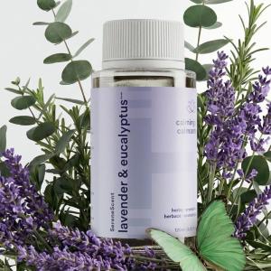 imageHomedics SereneScent Lavender amp Chamomile Sleep  Waterless Cold Air Diffuser Refill 120ml Aromatherapy Essential Oil for Deep Sleep Easy Plug amp Play Compatible with All MachinesLavender  Eucalyptus