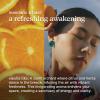 imageHomedics SereneScent Freesia Pear Fragrance Oil 15ml  Floral Fruity Blend with Pear Lemon amp Freesia  USDA Biobased Essential Oil Diffuser Scent  Waterless Cold AirMandarin  Basil