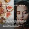 imageHomedics SereneScent Freesia Pear Fragrance Oil 15ml  Floral Fruity Blend with Pear Lemon amp Freesia  USDA Biobased Essential Oil Diffuser Scent  Waterless Cold AirFig  Sage