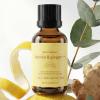 imageHomedics SereneScent Wellness Oil Refill for Waterless Diffusers Lavender amp Eucalyptus 15ml Plug amp Play Fragrance Oil Bottle Aromatherapy Scent Refill for Home Office Bedroom Compact DiffusersLemon  Ginger